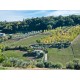 Properties for Sale_Farmhouses to restore_Ruin and an agricultural accessory for sale in Le Marche_17